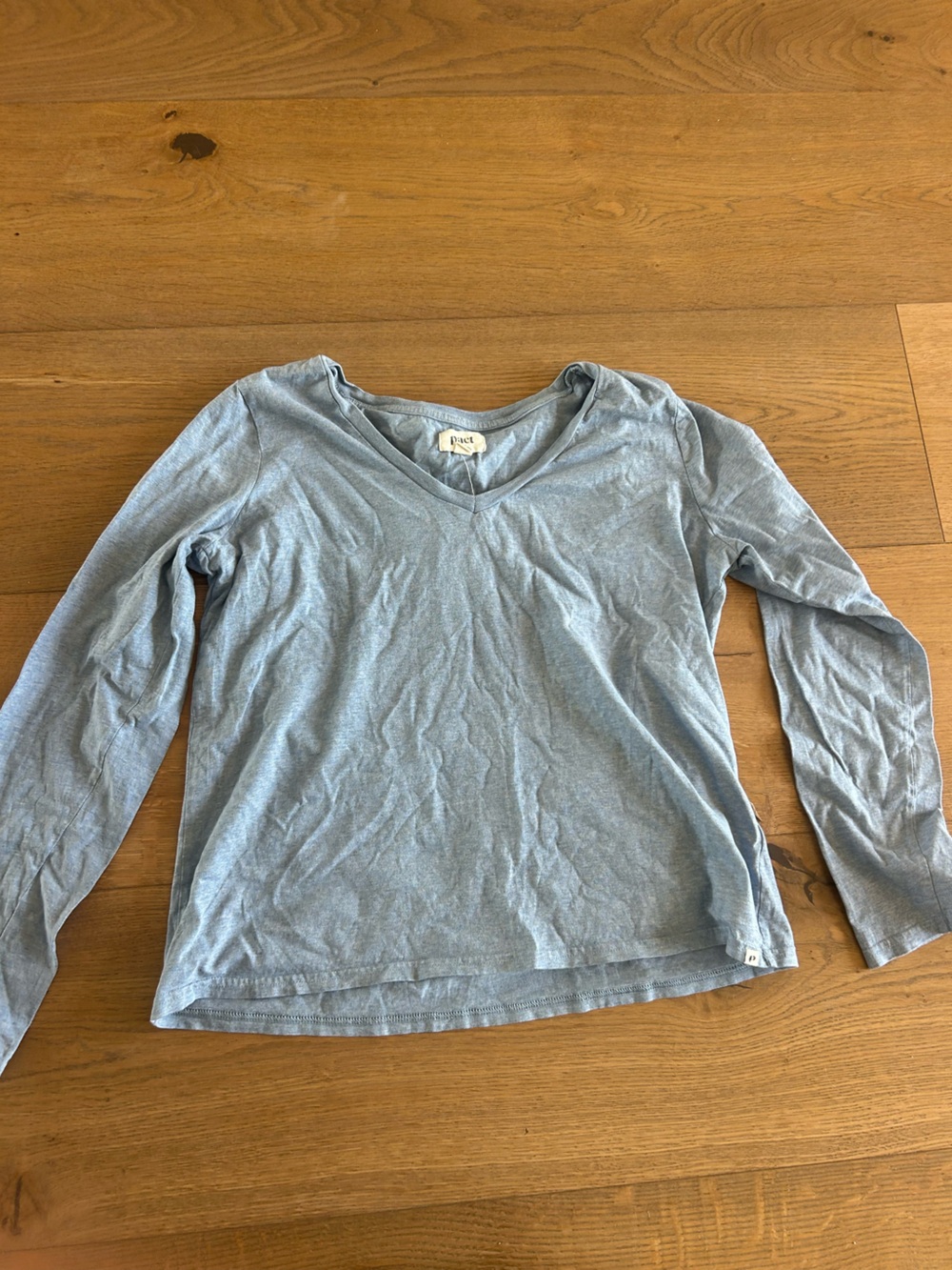 Pact Light Blue V-Neck Long Sleeve Top